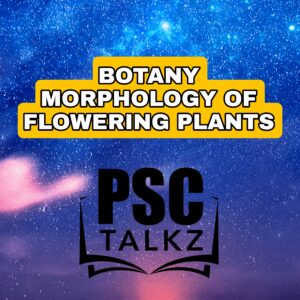 botany morphology mock test